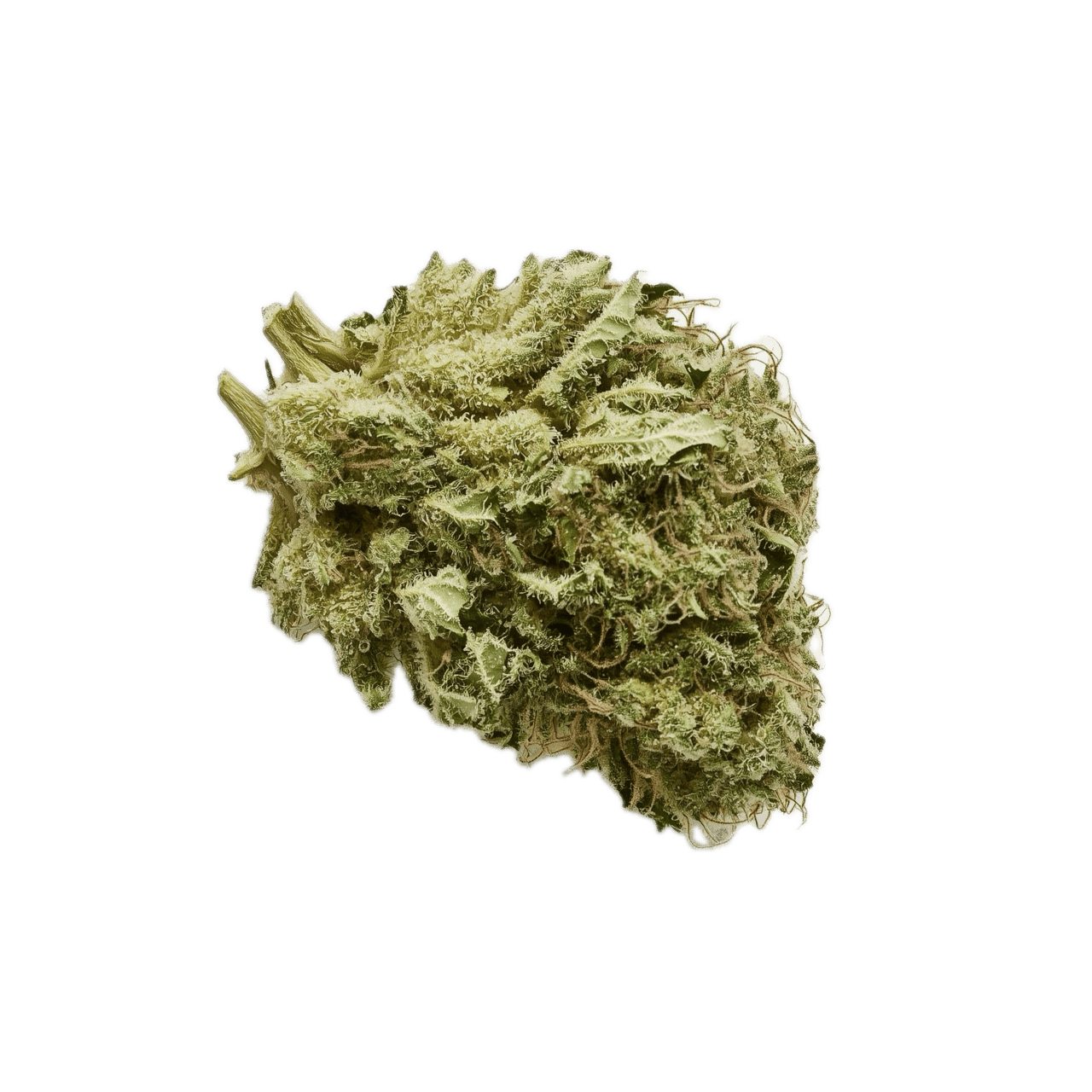 DEMECAN Core Pulse 25/1 "Zativa"