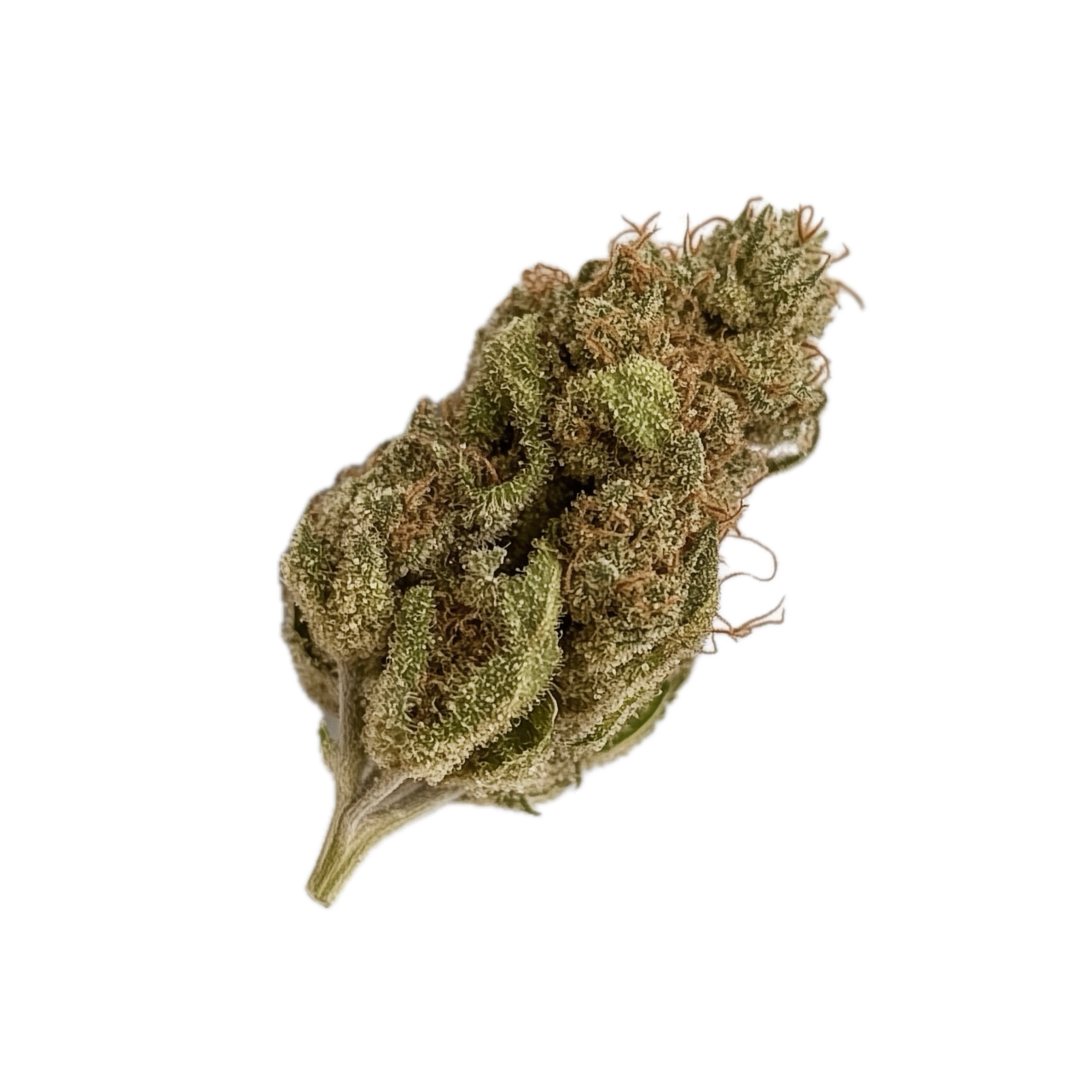 420 Natural 22/1 GG4 "Gorilla Glue"