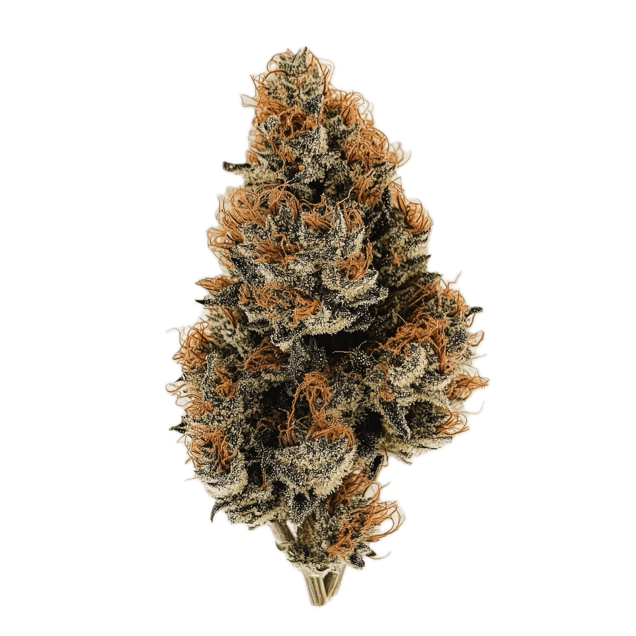 Indimed 20/1 ISS "Island Sweet Skunk"