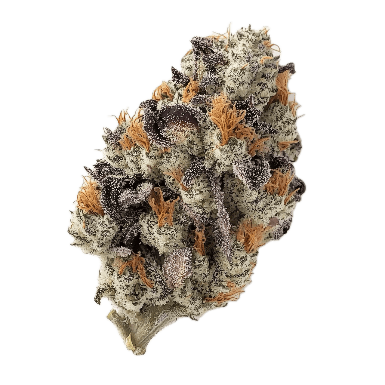 Cannamedical Hybrid Ultra BC 27/1 "Lemon Cookie"