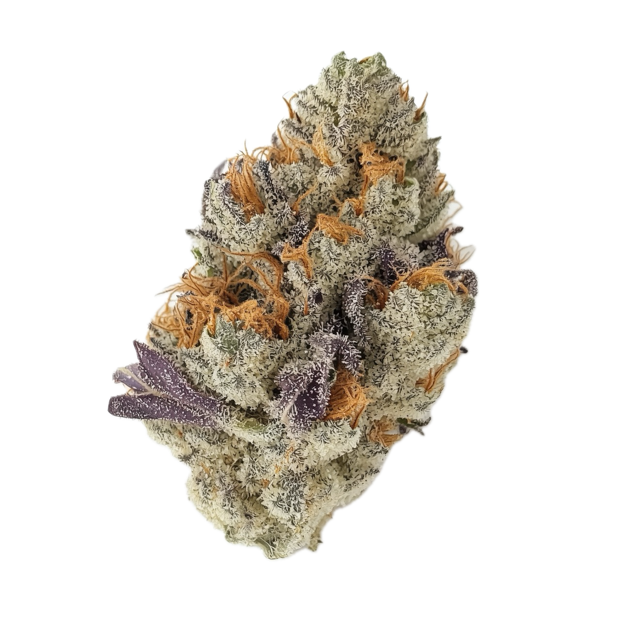 420 Evolution 27/1 FLM "Frozen Lemon Mints"