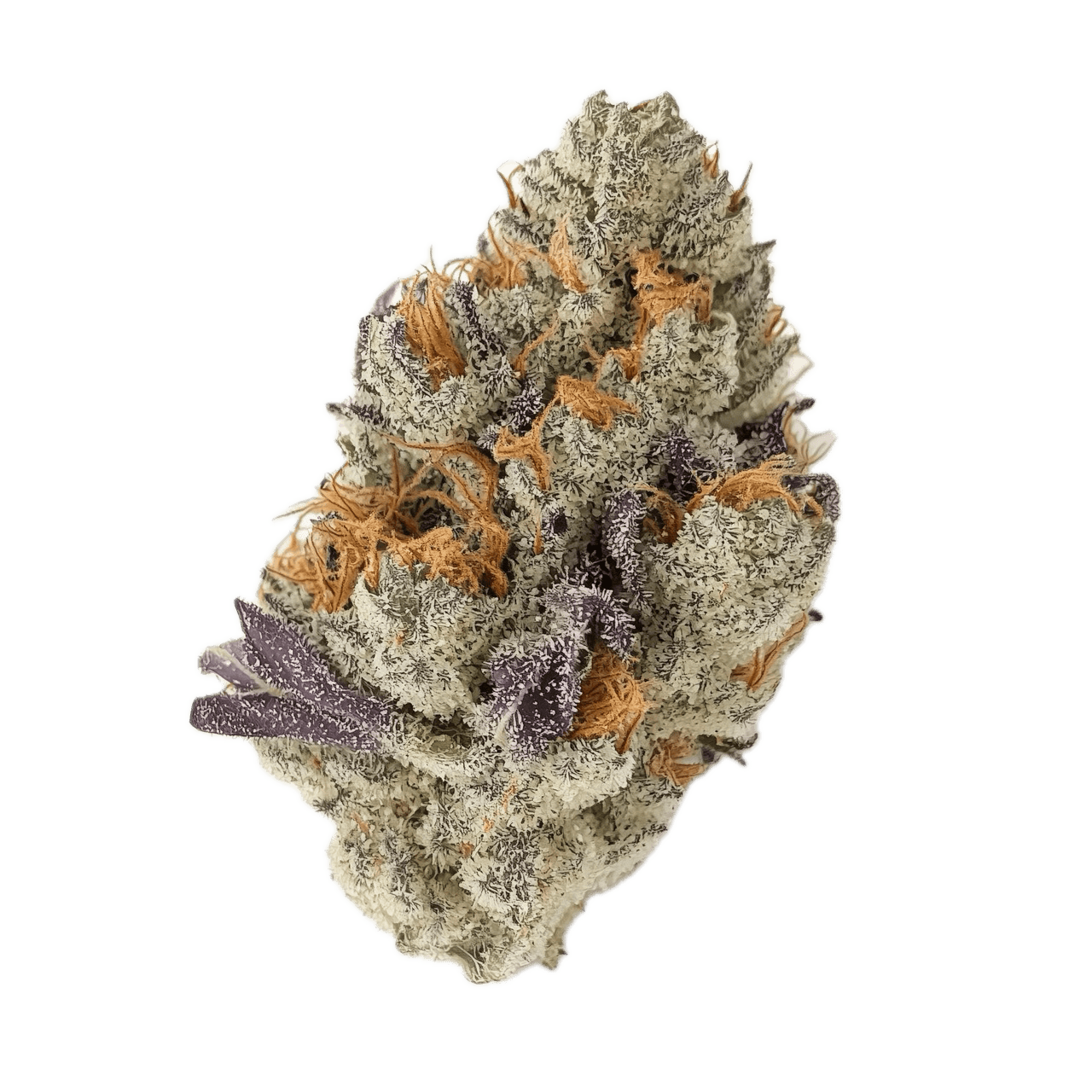 Cannamedical Hybrid Forte KA 22/1 "Gelato Lemon"