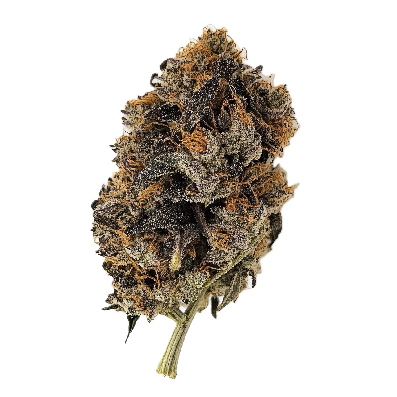 Pedanios 27/1 FRG-CA "Farm Gas"