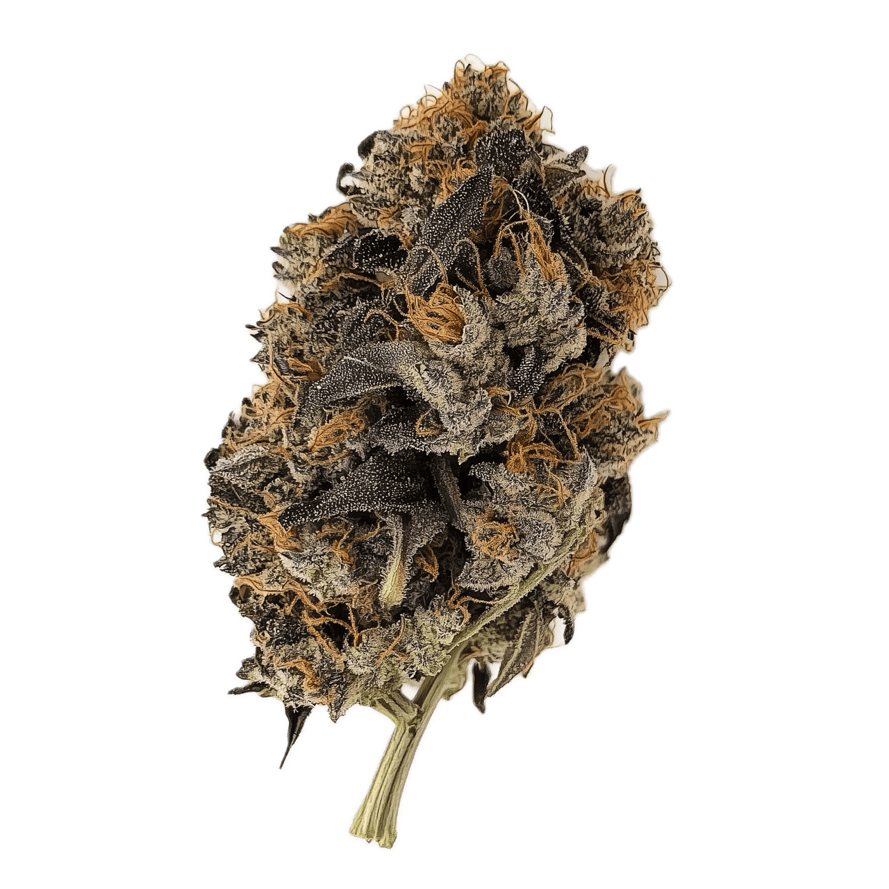 Pedanios 27/1 FRG-CA "Farm Gas"