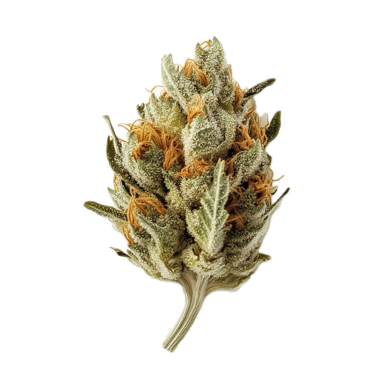 Demecan Core Horizon 27/1 "Lava Cake"