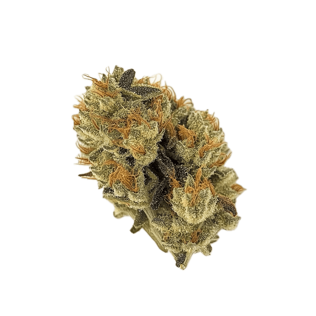ZOIKS 33/1 LKV2 "Lime Kush 2.0"