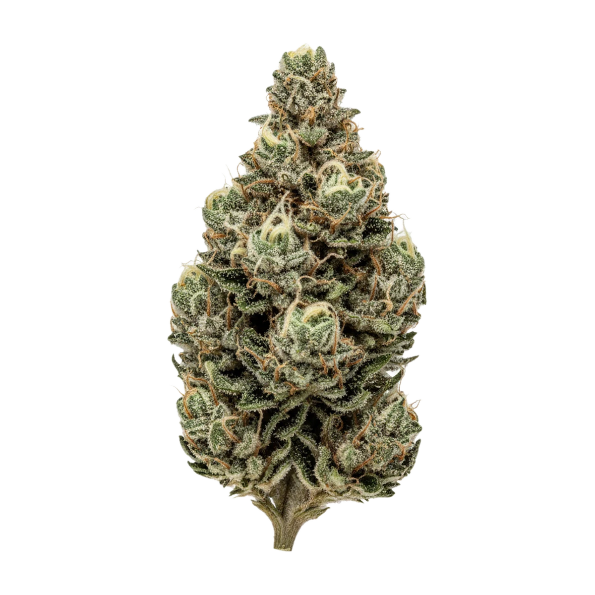 KI-generierte Illustration einer Cannabisblüte, zeigt nicht die tatsächliche Charge – Peace Naturals SC "Space Cake"