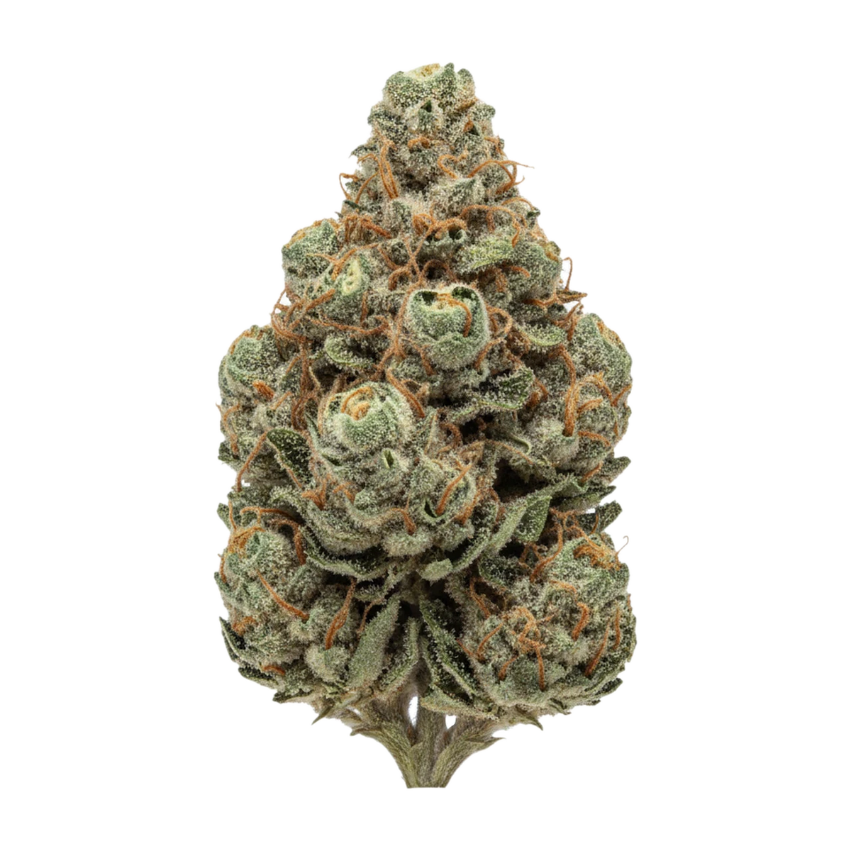 KI-generierte Illustration einer Cannabisblüte, zeigt nicht die tatsächliche Charge – Pedanios 10/10 EQI-CA "Equiposa"