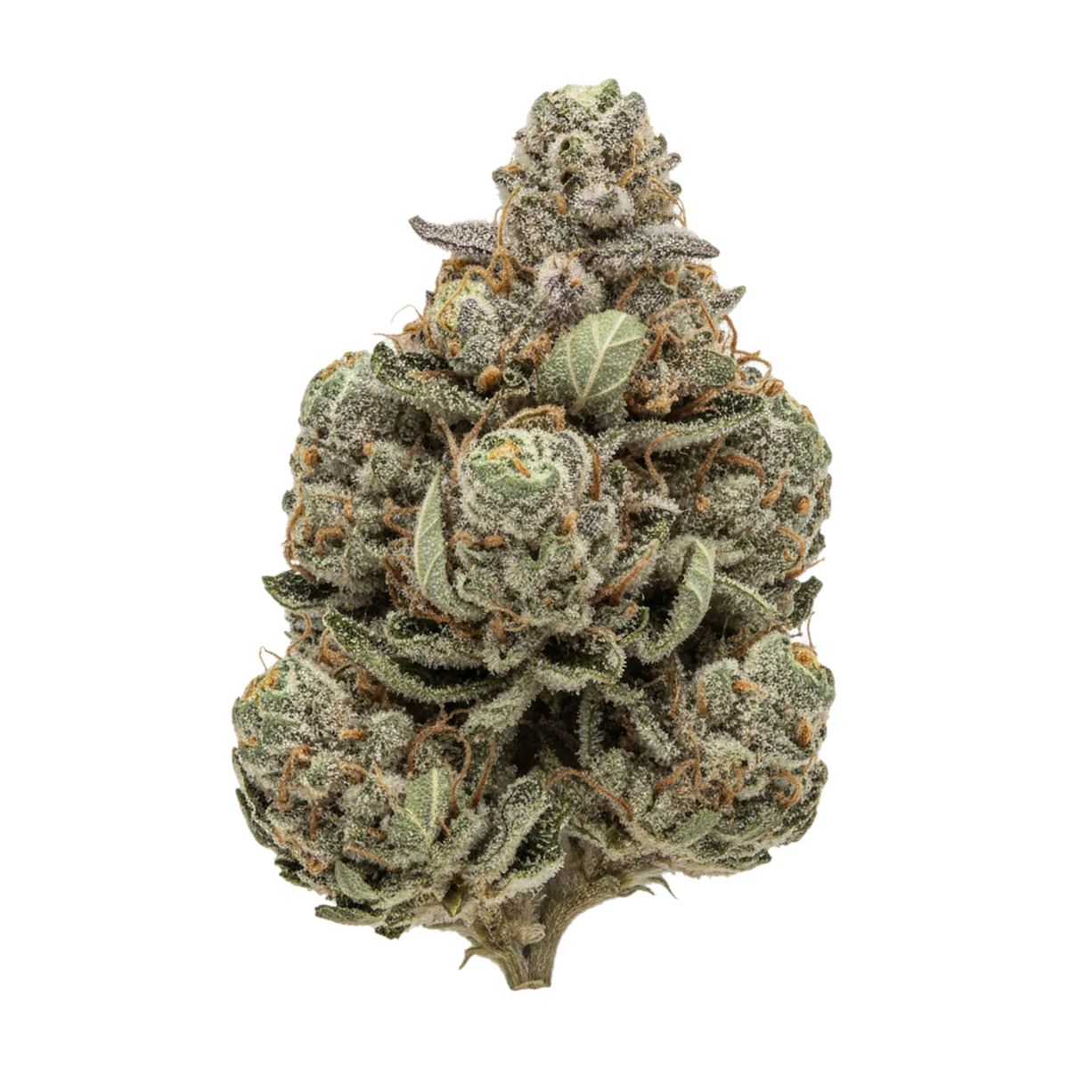 KI-generierte Illustration einer Cannabisblüte, zeigt nicht die tatsächliche Charge – 420 Evolution 30/1 CBB "Cherry Bang Bang"