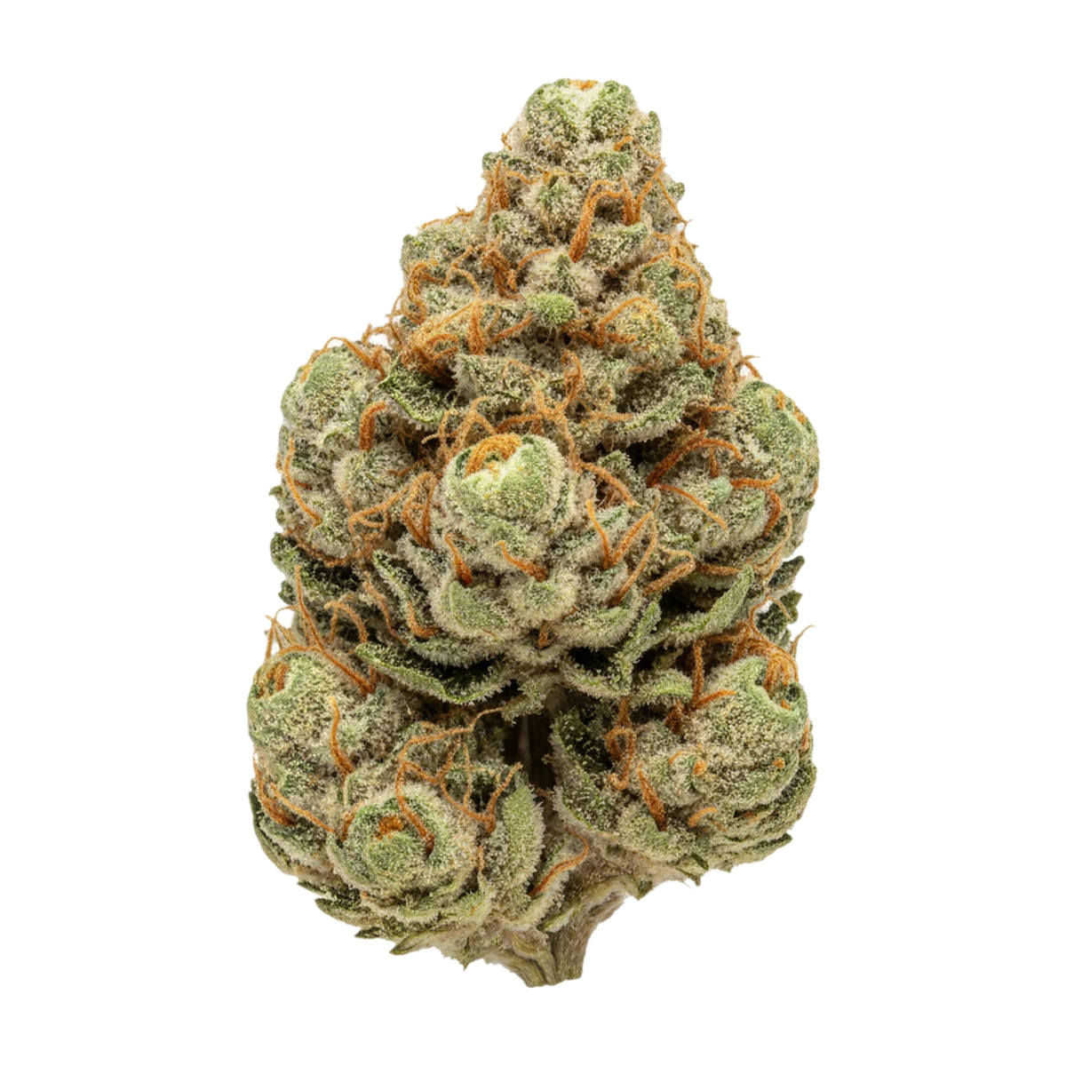 KI-generierte Illustration einer Cannabisblüte, zeigt nicht die tatsächliche Charge – Pedanios PND-CA "Pink Diesel"