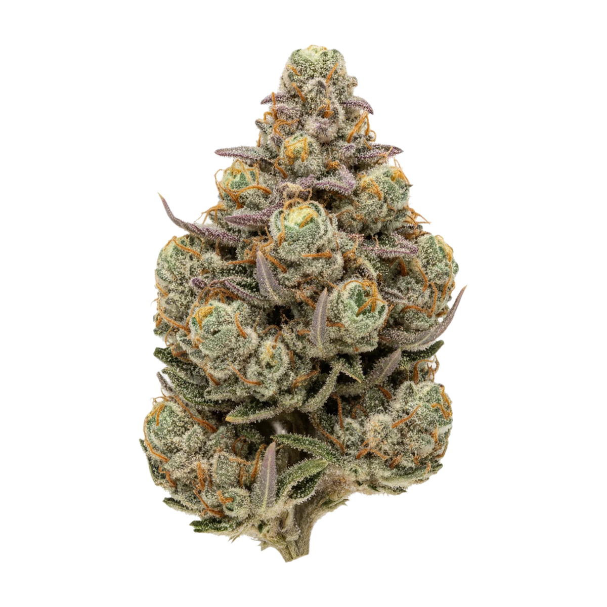 KI-generierte Illustration einer Cannabisblüte, zeigt nicht die tatsächliche Charge – PHCANN Exotics "Amber"