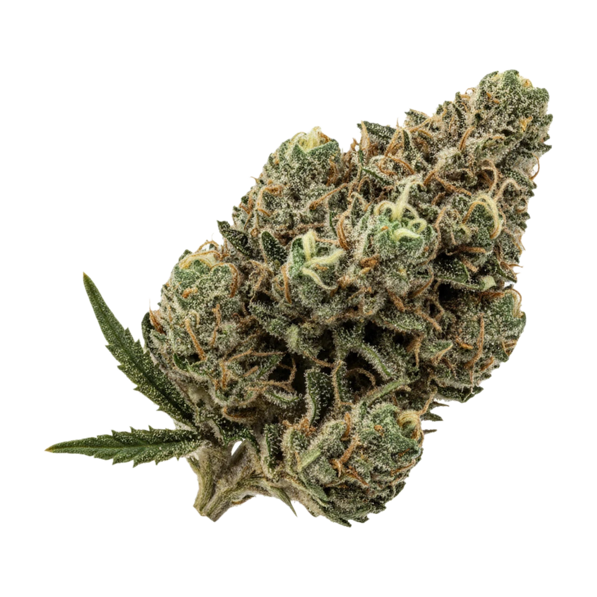 KI-generierte Illustration einer Cannabisblüte, zeigt nicht die tatsächliche Charge – Pretty Smalls 21/1 ICC "Ice Cream Cake"
