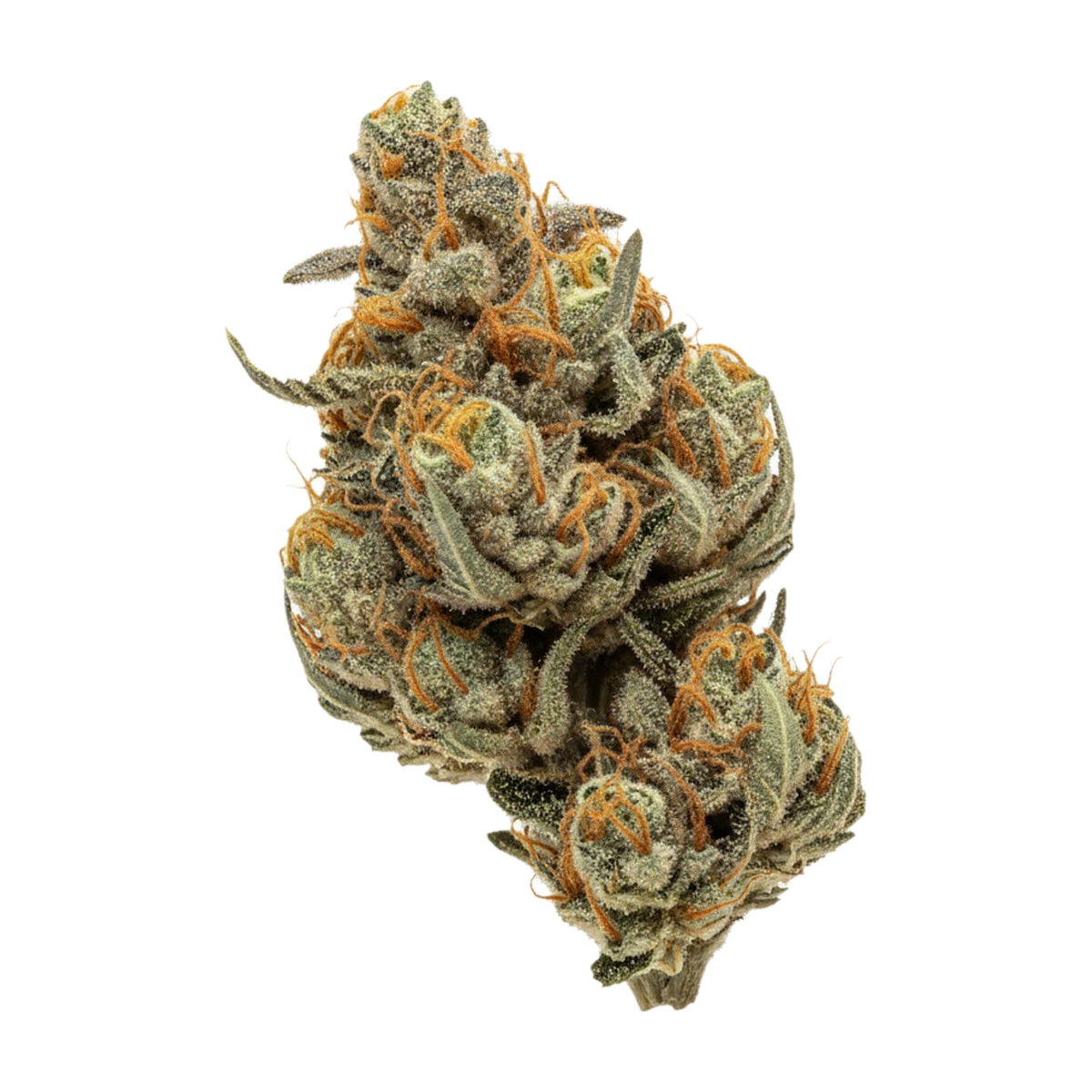 KI-generierte Illustration einer Cannabisblüte, zeigt nicht die tatsächliche Charge – Remexian 24/1 PRT MCR "Motor Crasher"