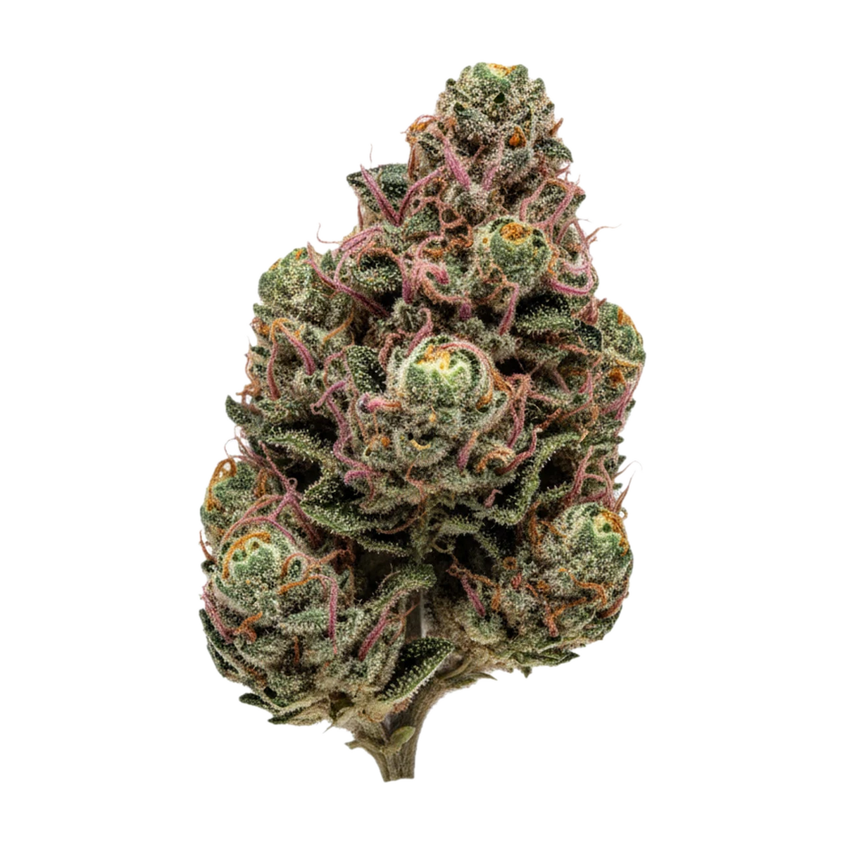KI-generierte Illustration einer Cannabisblüte, zeigt nicht die tatsächliche Charge – Remexian 27/1 THZ "The Zoap"