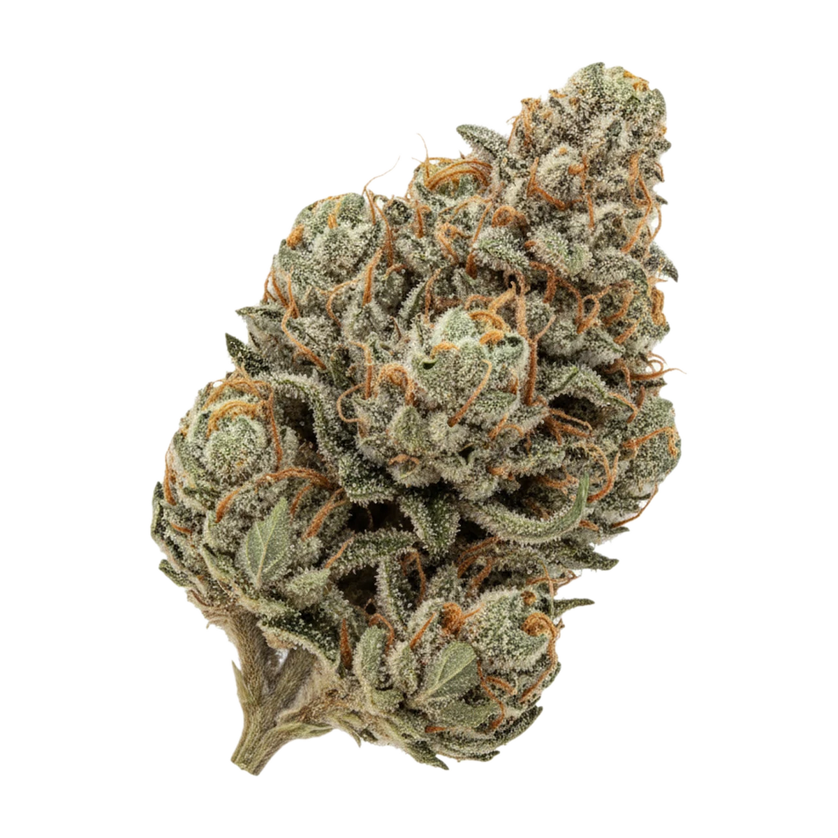 KI-generierte Illustration einer Cannabisblüte, zeigt nicht die tatsächliche Charge – Remexian 30/1 CHK "Chemical Kush"