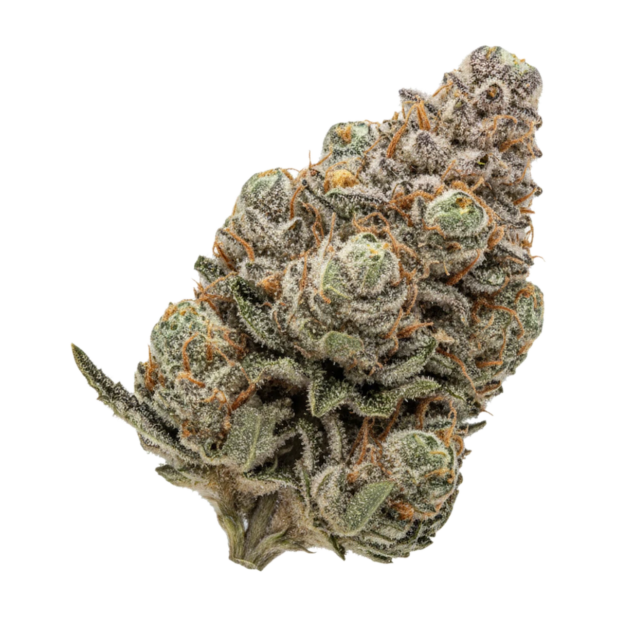 KI-generierte Illustration einer Cannabisblüte, zeigt nicht die tatsächliche Charge – Remexian 30/1 GBY "Gorilla Berry"