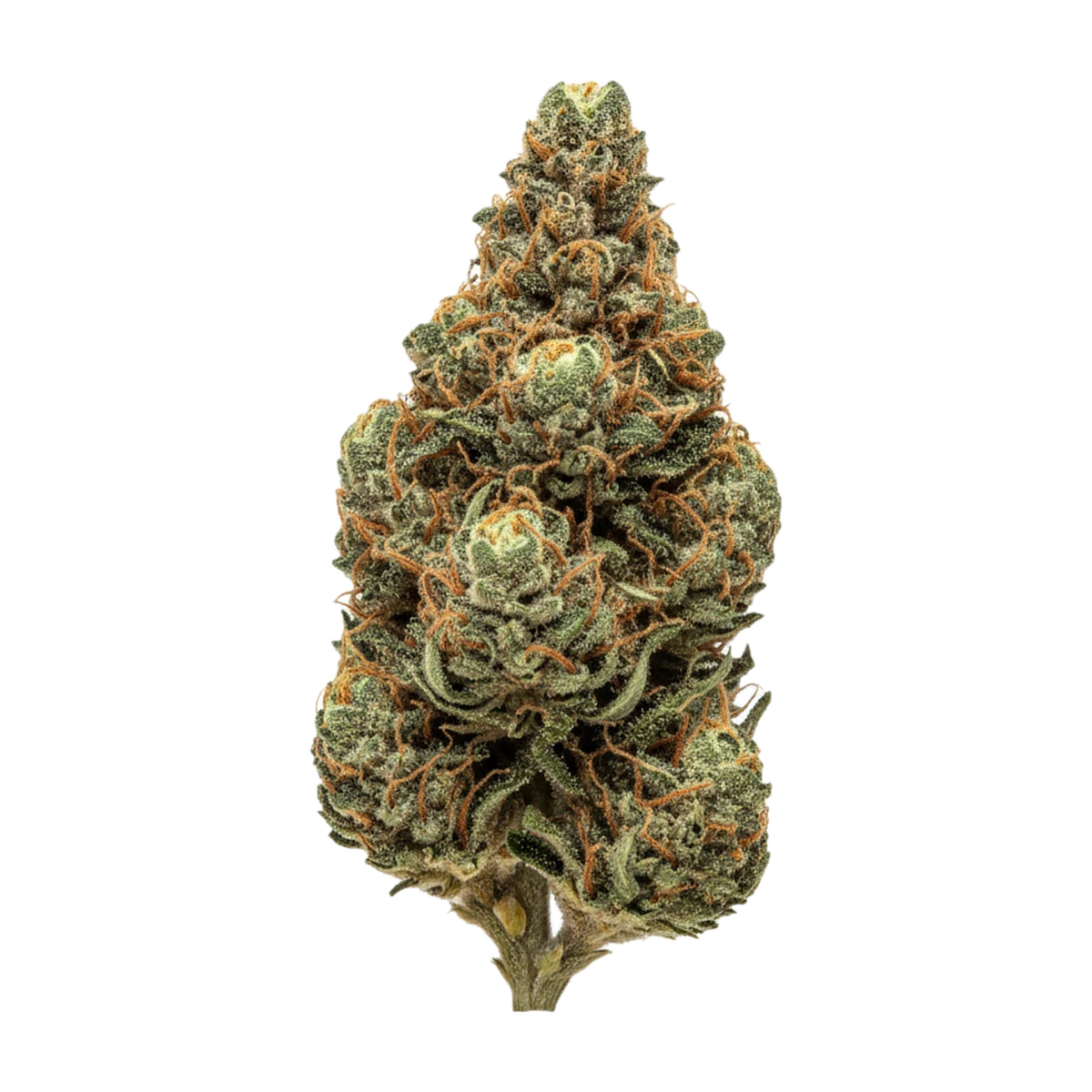 KI-generierte Illustration einer Cannabisblüte, zeigt nicht die tatsächliche Charge – Sibanax 20/1 CC "Crescendo Cookies"