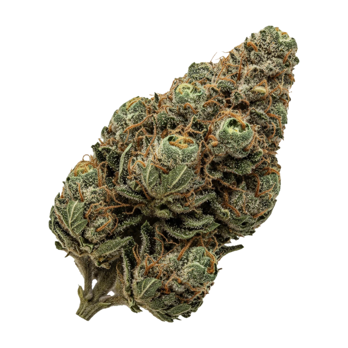 KI-generierte Illustration einer Cannabisblüte, zeigt nicht die tatsächliche Charge – Sibanax 23/1 MCF "MacFem"