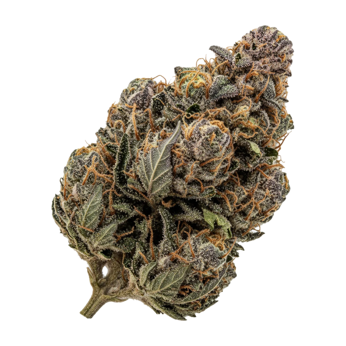 KI-generierte Illustration einer Cannabisblüte, zeigt nicht die tatsächliche Charge – slouu 22/1 PS3 GCB "God Cherry Bud"