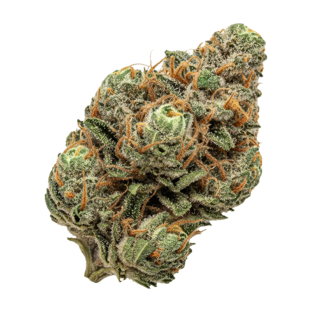 KI-generierte Illustration einer Cannabisblüte, zeigt nicht die tatsächliche Charge – slouu 27/1 ZKS "Z Kush"