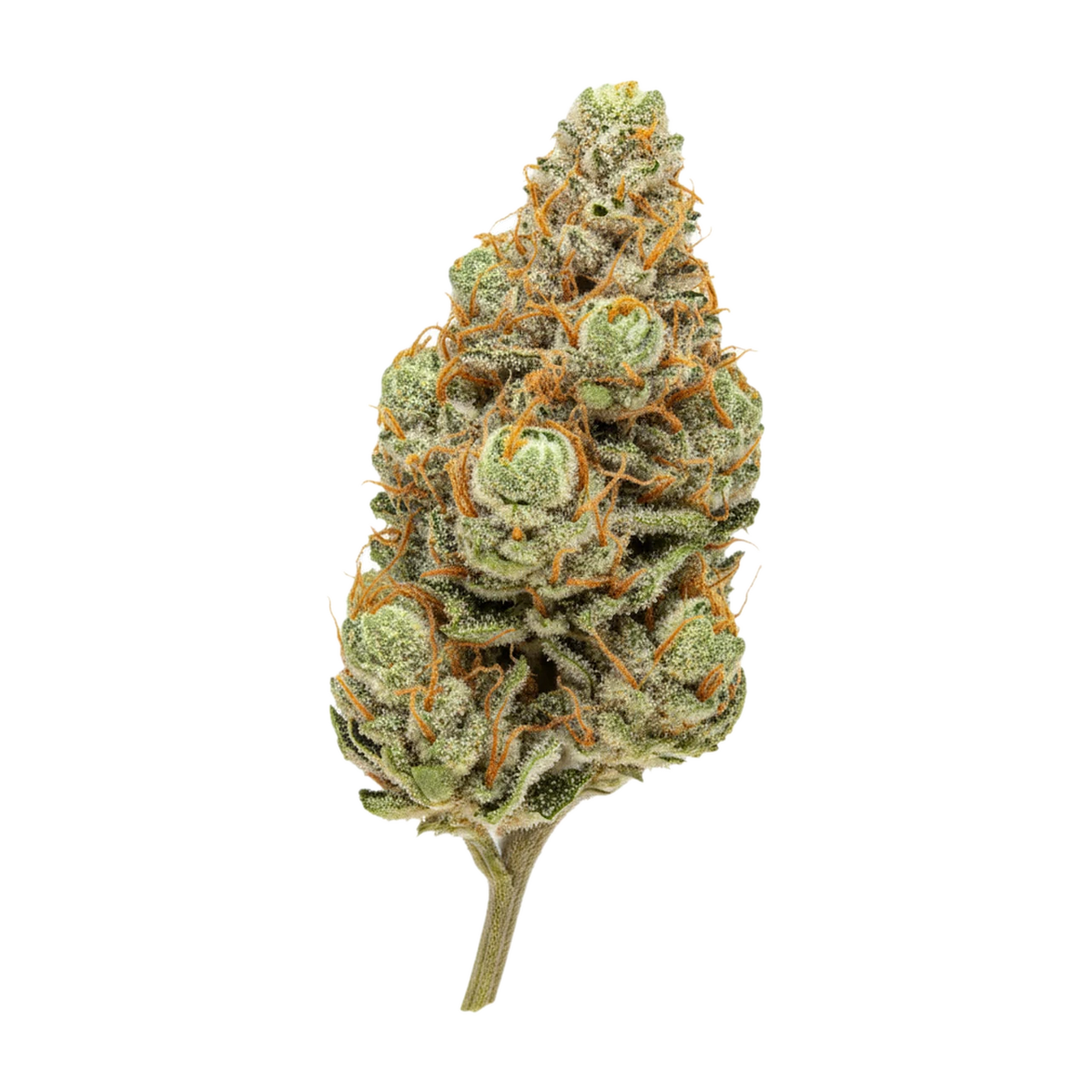 KI-generierte Illustration einer Cannabisblüte, zeigt nicht die tatsächliche Charge – Trust Holdings LH 29/1 "Liberty Haze"