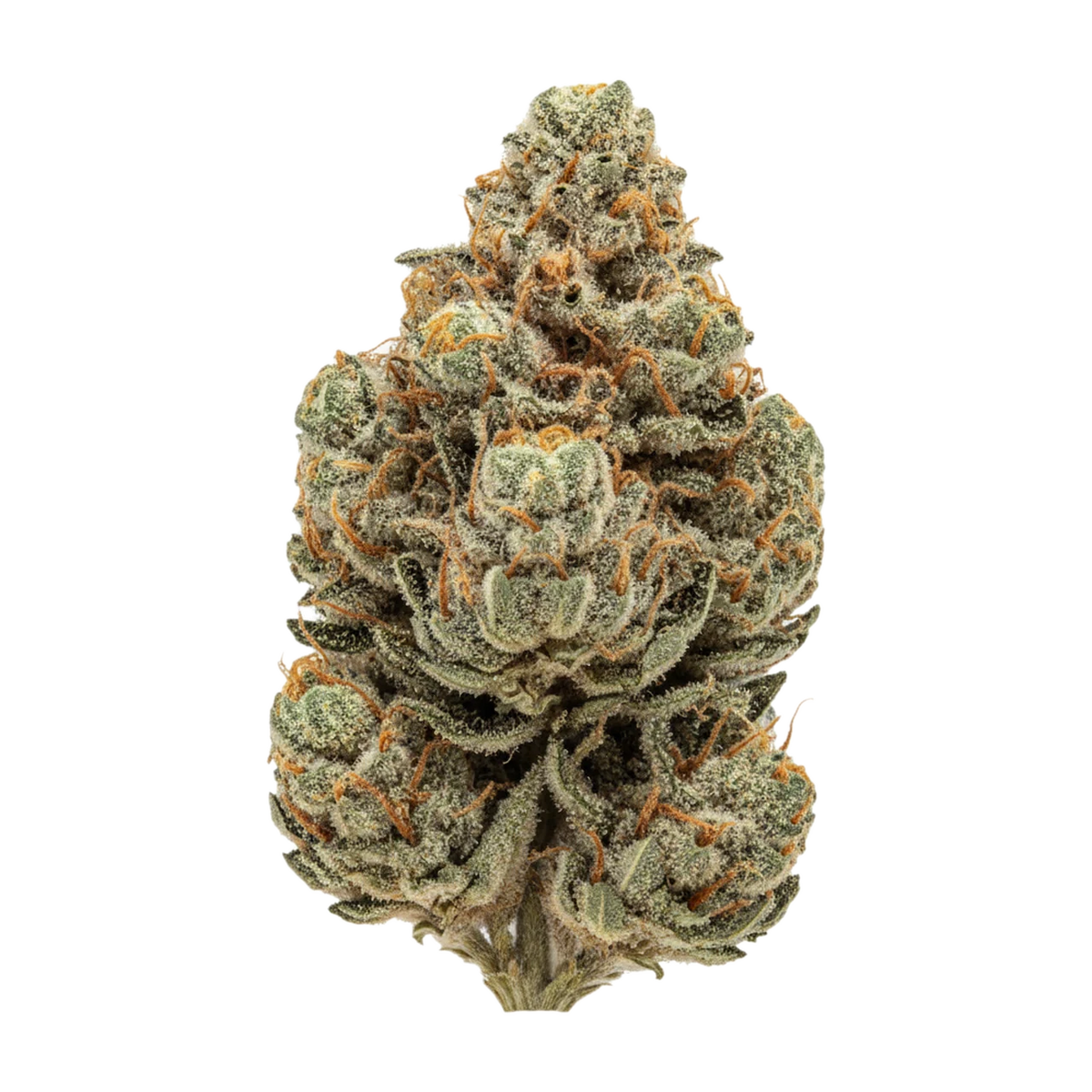 KI-generierte Illustration einer Cannabisblüte, zeigt nicht die tatsächliche Charge – TRUU PS 24/1 "Critical 47"