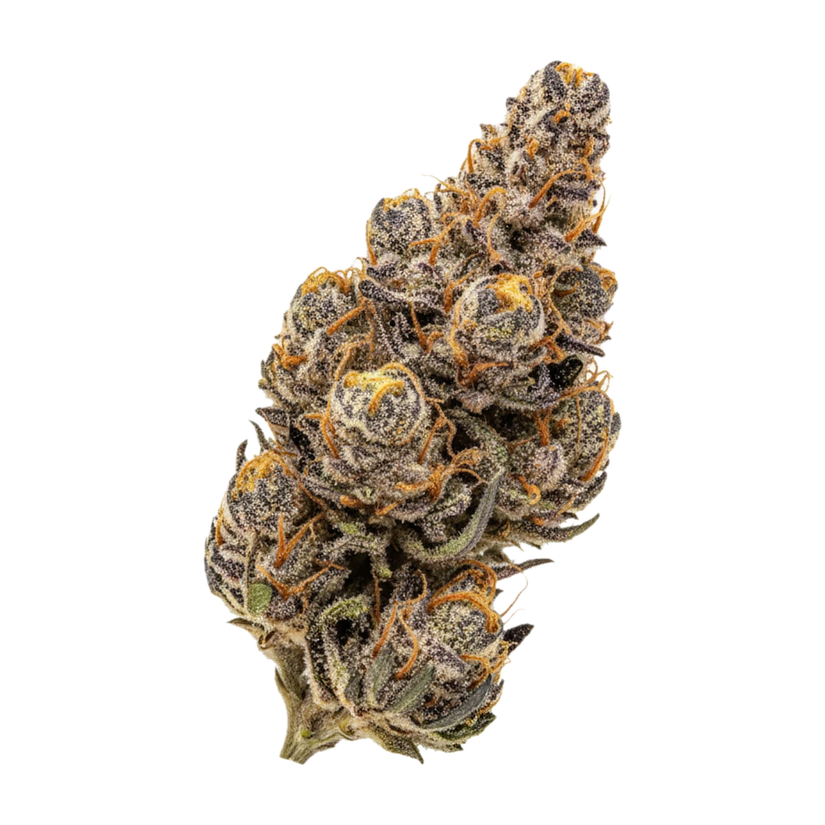KI-generierte Illustration einer Cannabisblüte, zeigt nicht die tatsächliche Charge – UPSTATE 24/1 RZ "Rozay"