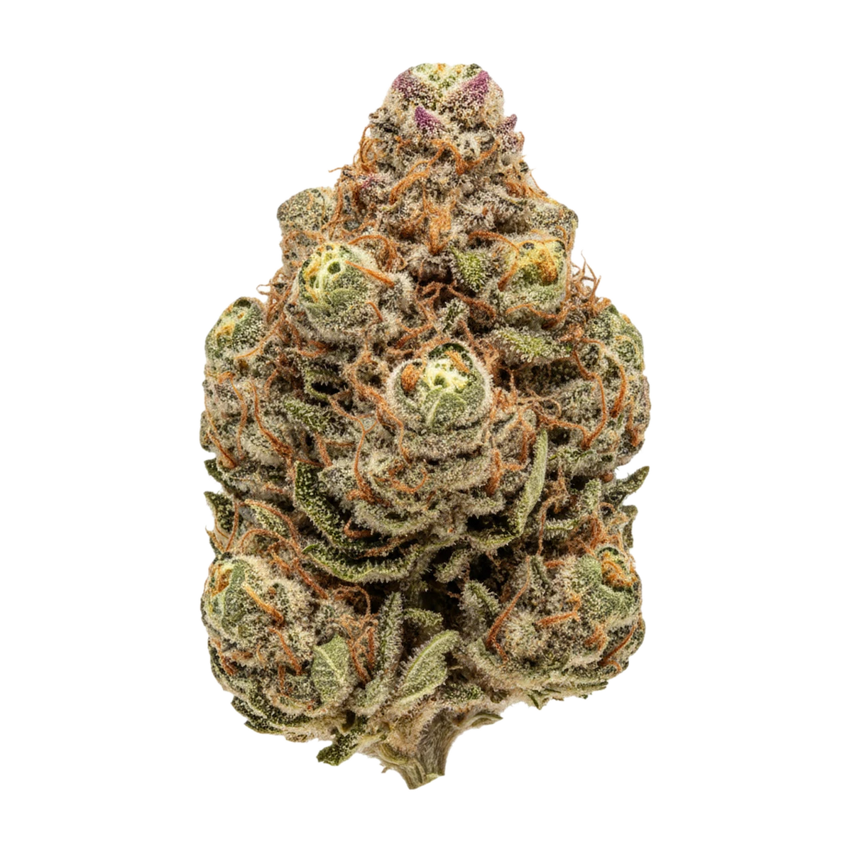 KI-generierte Illustration einer Cannabisblüte, zeigt nicht die tatsächliche Charge – UPSTATE 30/1 GZ "Garlic Skittlez"
