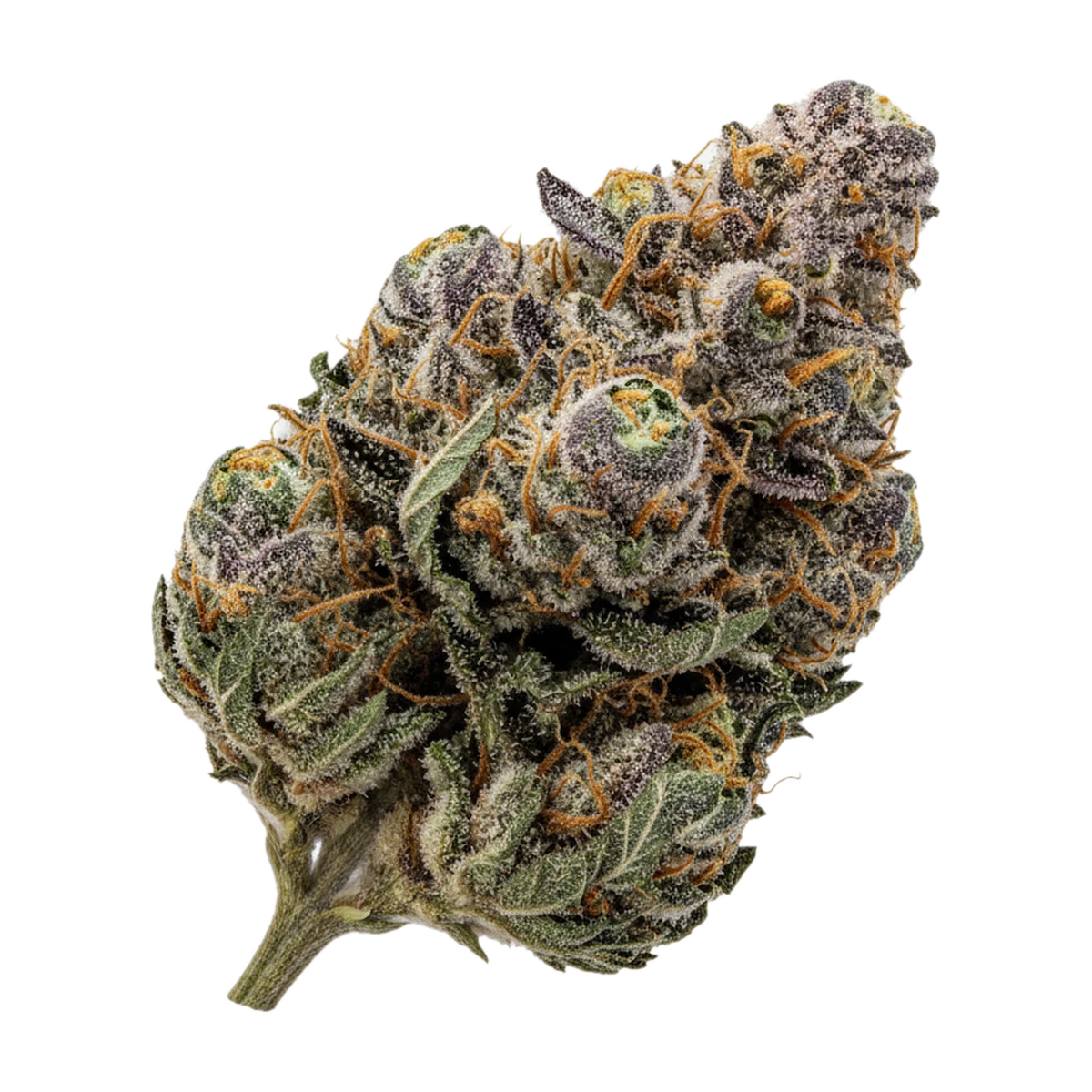 KI-generierte Illustration einer Cannabisblüte, zeigt nicht die tatsächliche Charge – Vasco x Cipher 28/1 BB "Blueberry Banana"
