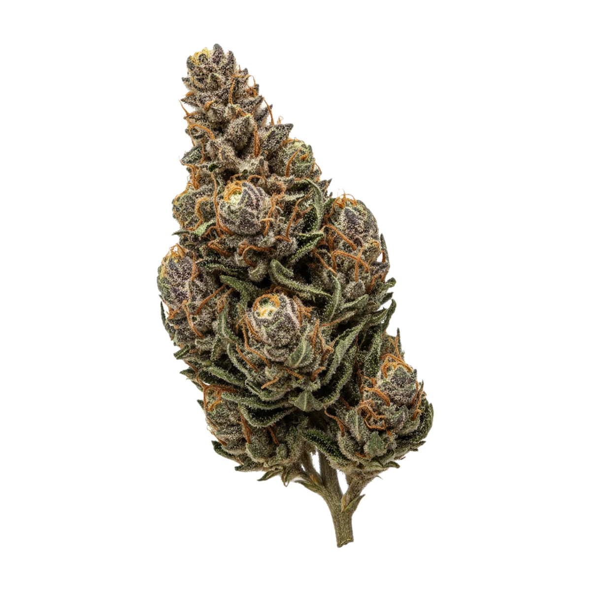 KI-generierte Illustration einer Cannabisblüte, zeigt nicht die tatsächliche Charge – Weeco Duke "Purple Rain"