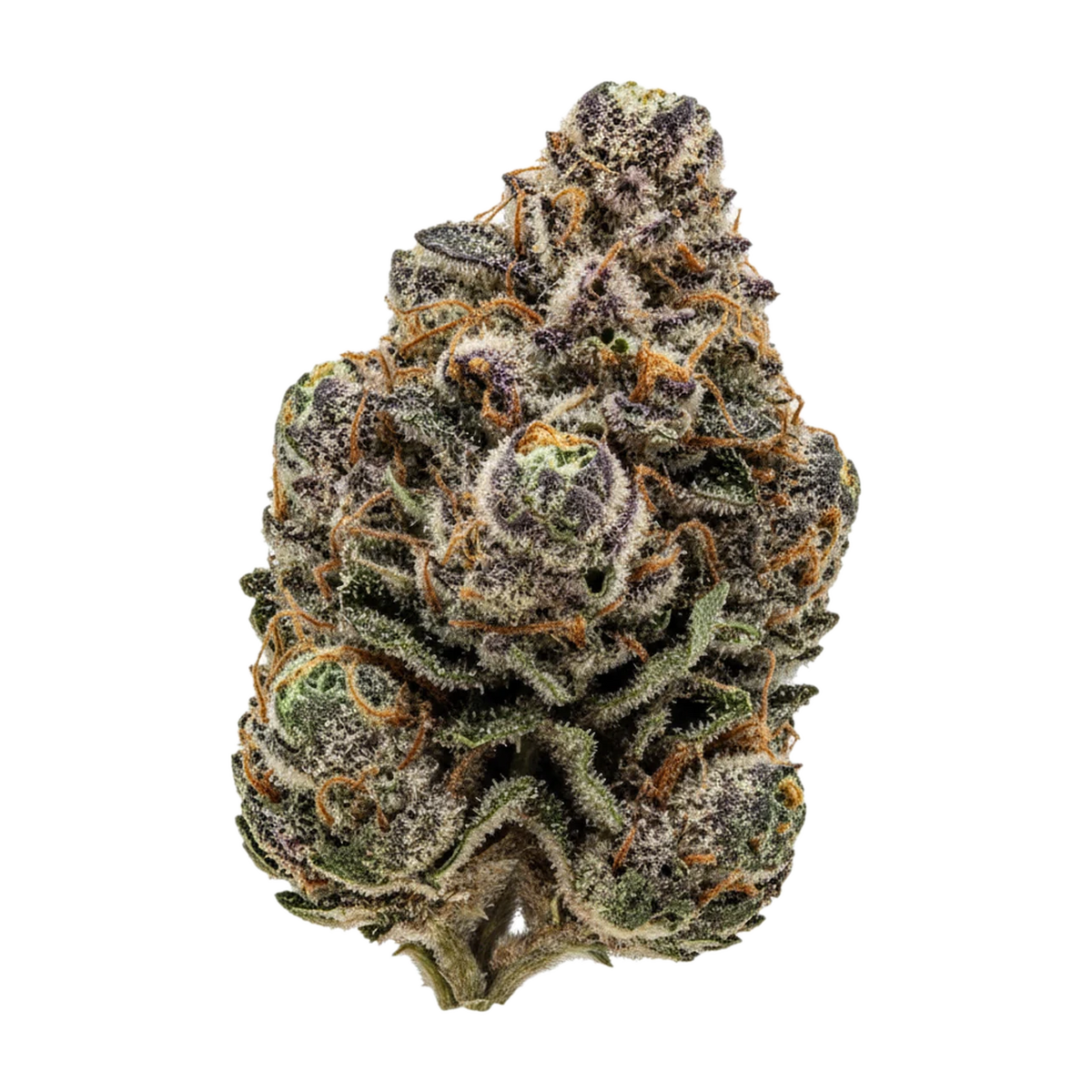 KI-generierte Illustration einer Cannabisblüte, zeigt nicht die tatsächliche Charge – ZOIKS 22/1 ALM "Alienmax"