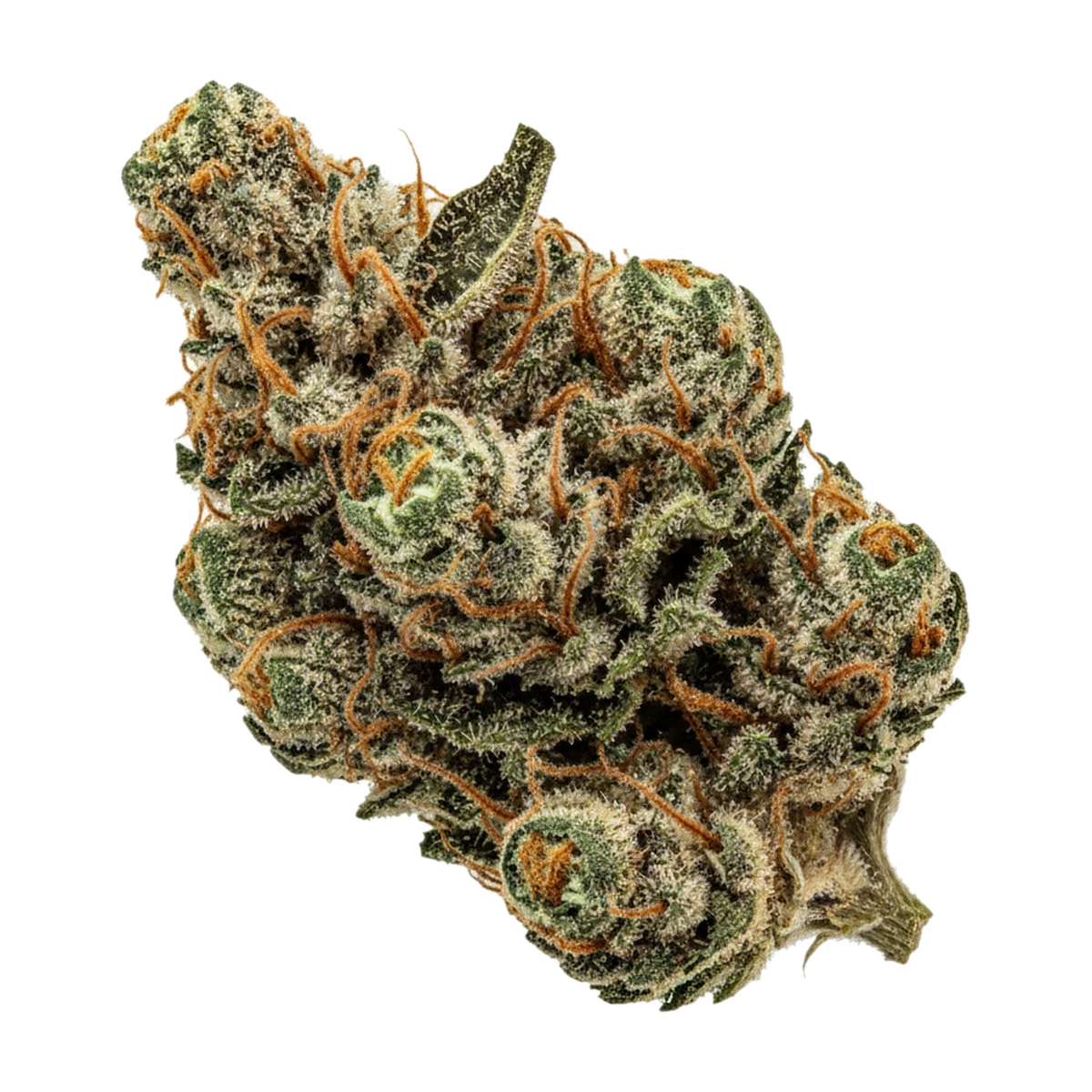 KI-generierte Illustration einer Cannabisblüte, zeigt nicht die tatsächliche Charge – ZOIKS 26/1 PD "Platinum Driver"
