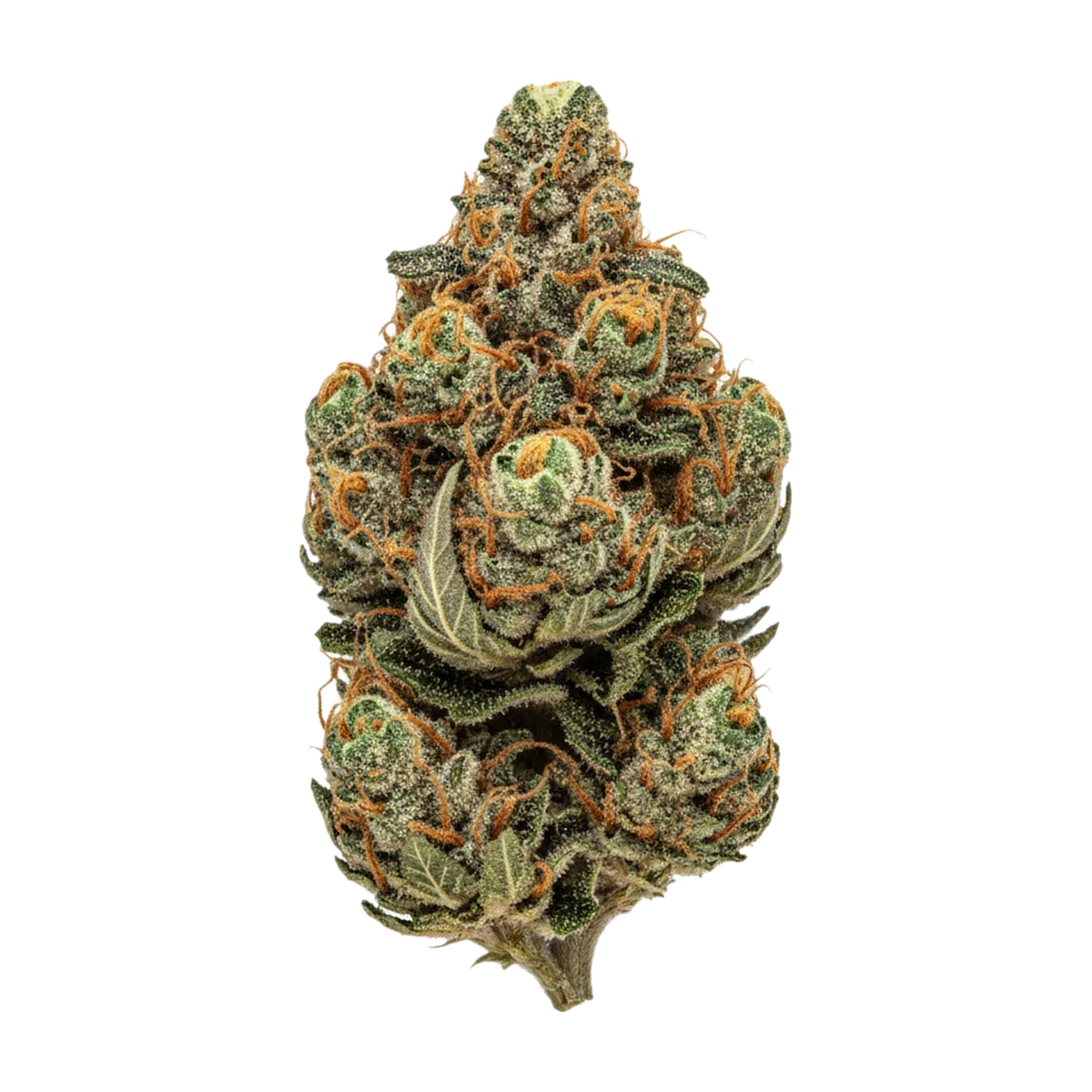 KI-generierte Illustration einer Cannabisblüte, zeigt nicht die tatsächliche Charge – ZOIKS 26/1 SCH "Sour Chocorilla"