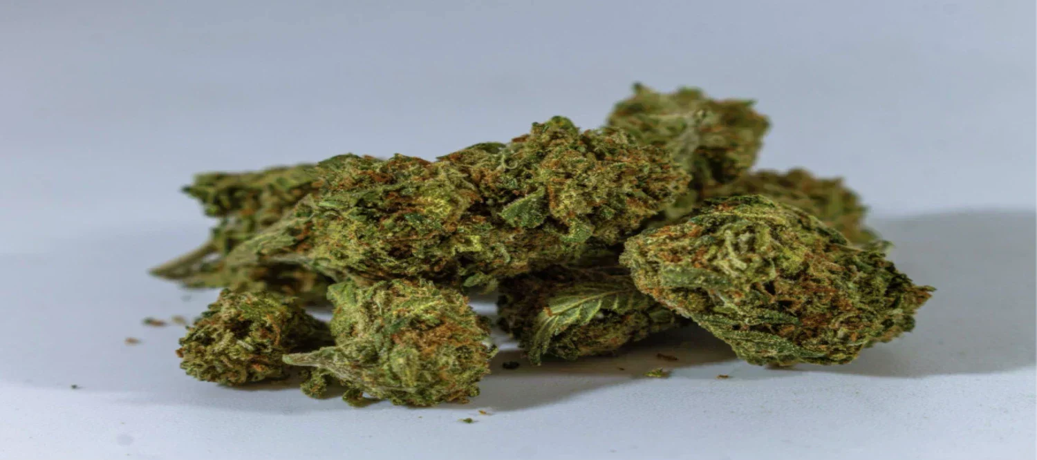Amnesia Haze Cannabisblüte