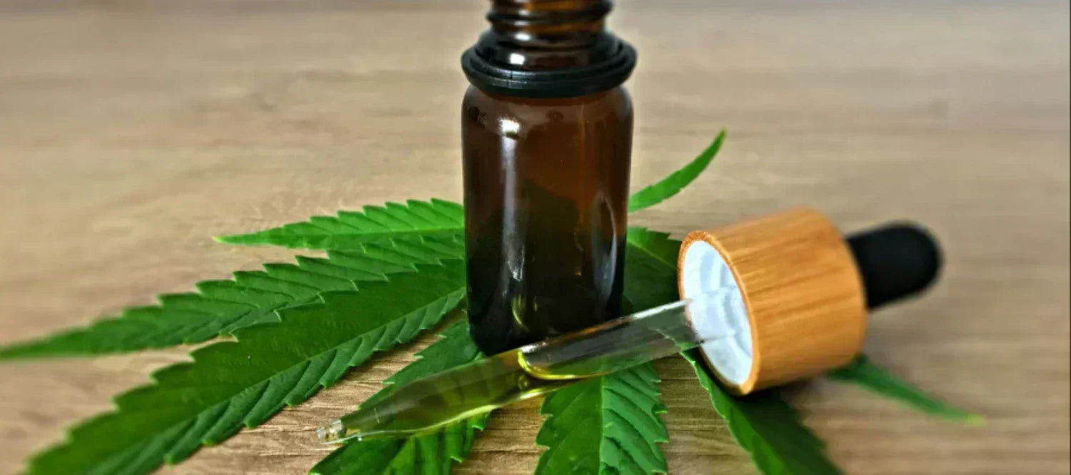 Cannabis Öl