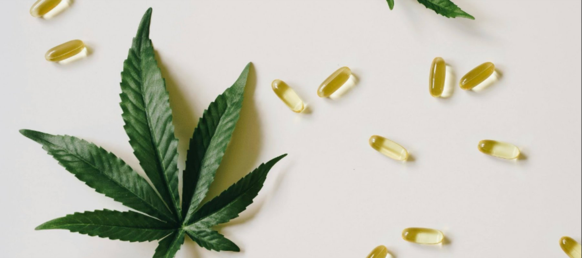 Dronabinol THC Kapseln