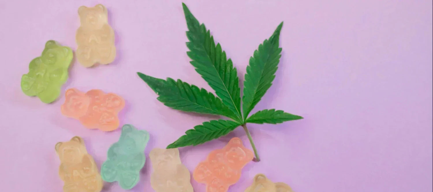 CBD- & THC-Gummibärchen