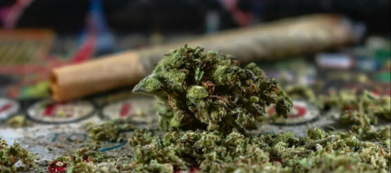 Joint mit Cannabisblüte
