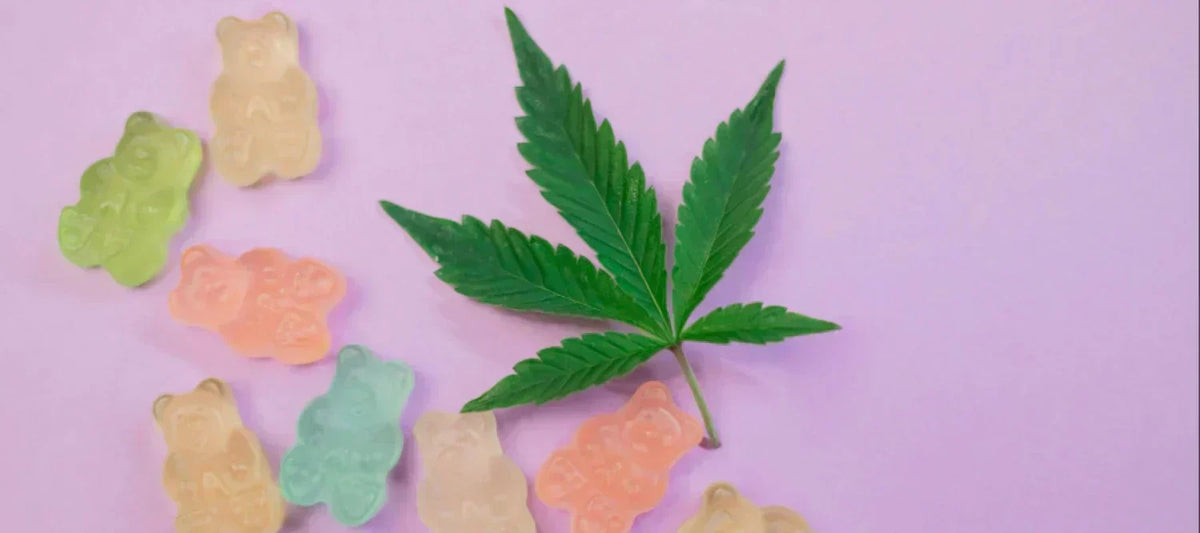 CBD- & THC-Gummibärchen