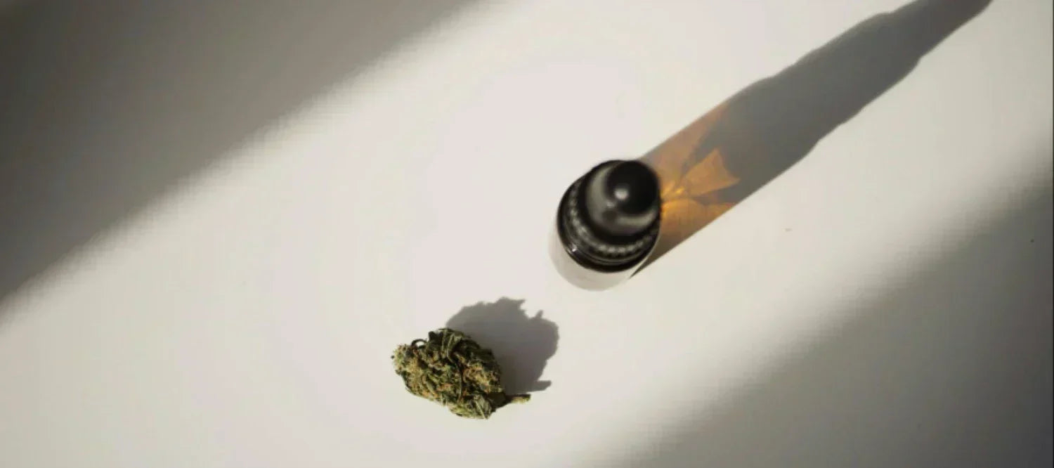 Cannabis Mundspray
