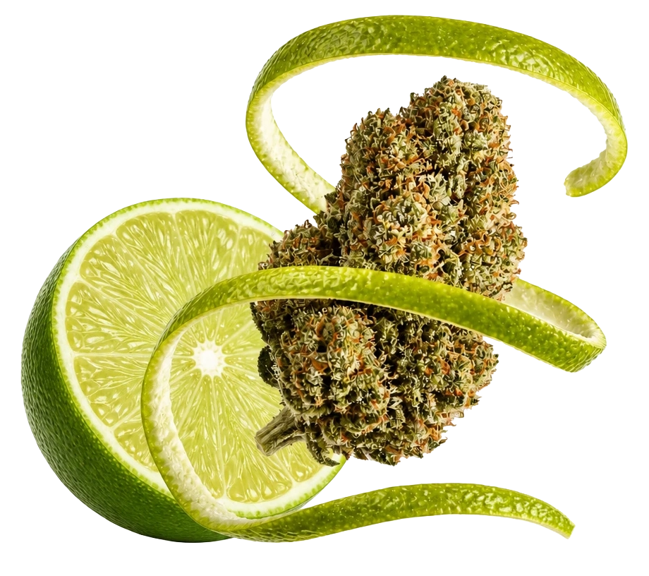 SpectrumBotanics Citrus Verde - Produktbild