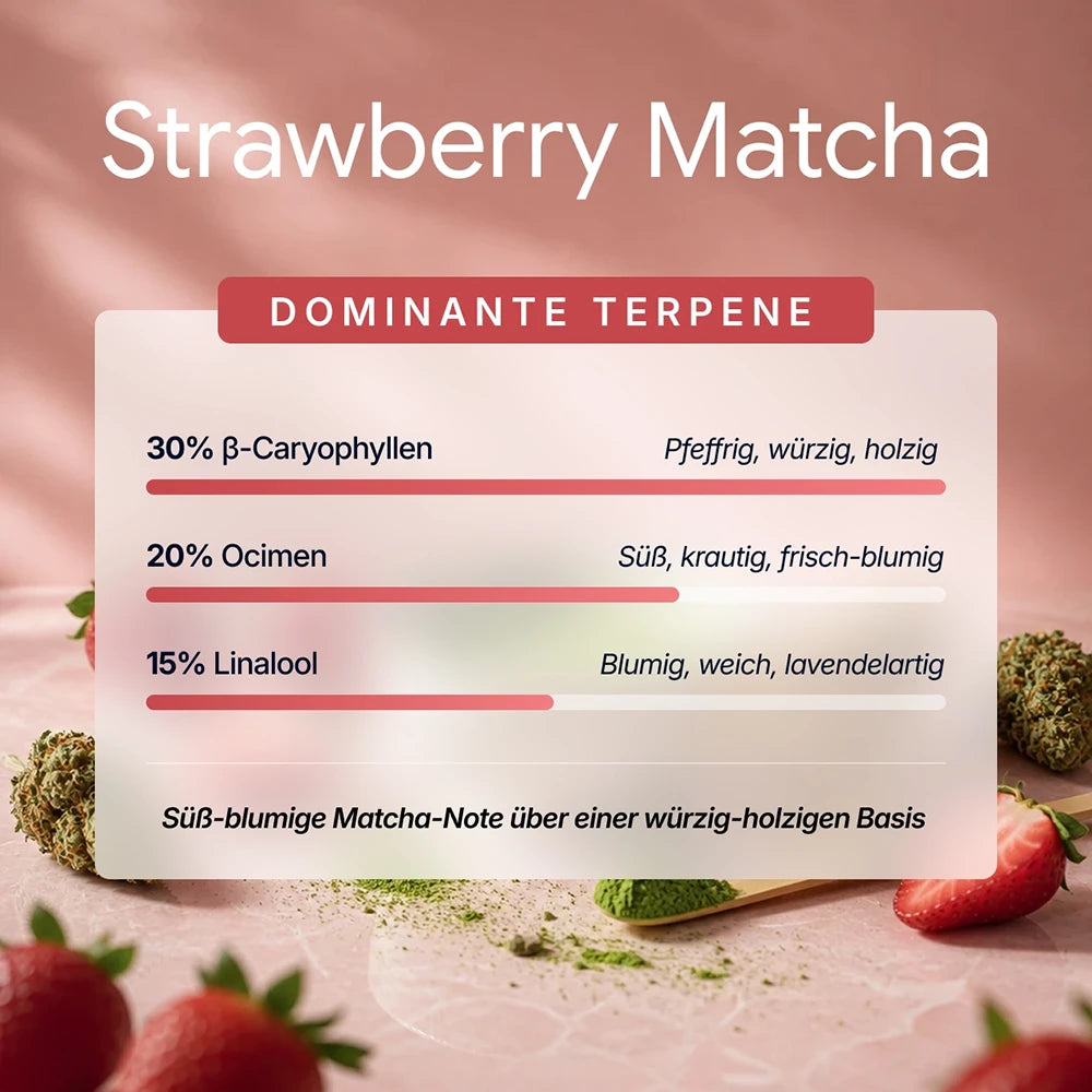 SpectrumBotanics Strawberry Matcha - Dominante Terpene: 30 % Beta-Caryophyllen, 20 % Ocimen, 15 % Linalool