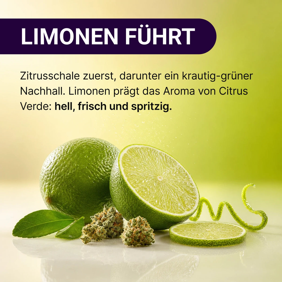 KI-generiertes Bild: SpectrumBotanics Citrus Verde - Mood 3