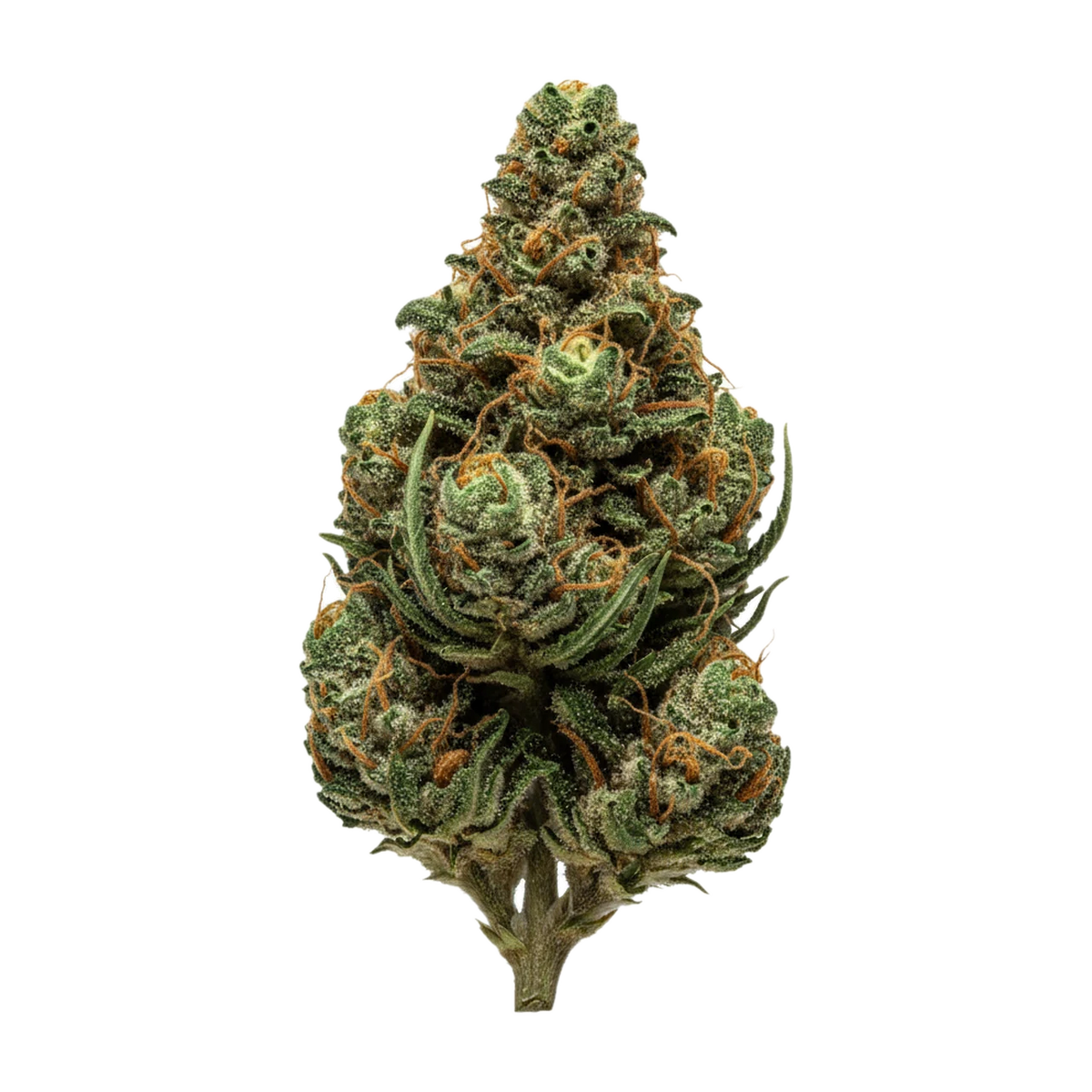 KI-generierte Illustration einer Cannabisblüte, zeigt nicht die tatsächliche Charge – 420 Balanced Basic PT 7/7 SLG "Super Lemon G"