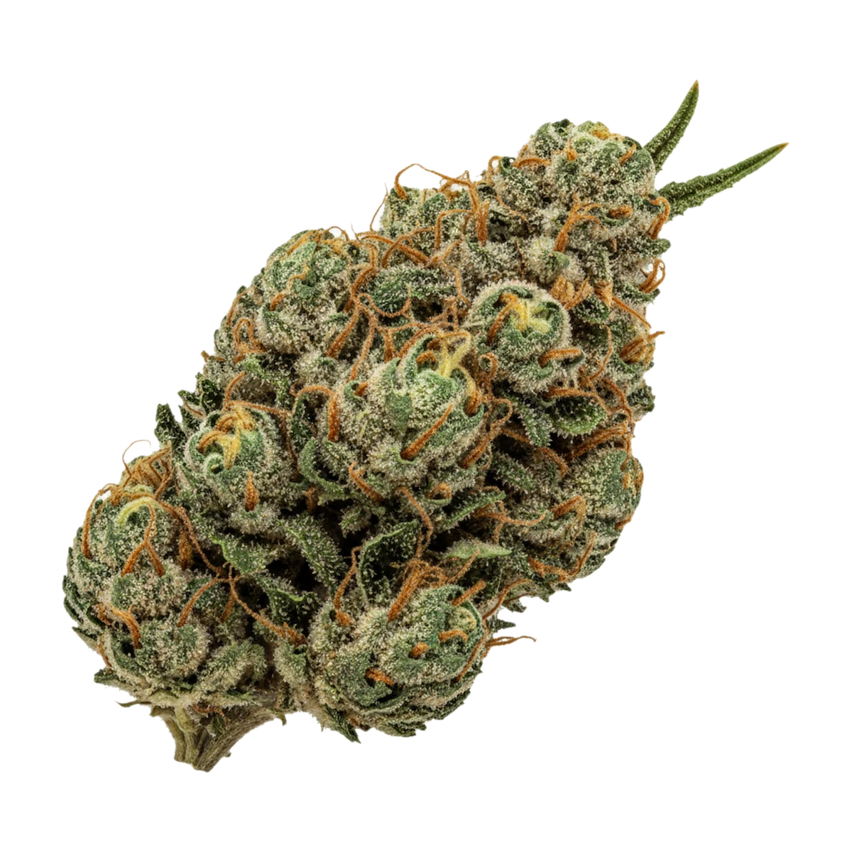 KI-generierte Illustration einer Cannabisblüte, zeigt nicht die tatsächliche Charge – 420 Compound 22/1 MWZ "Mellowz"