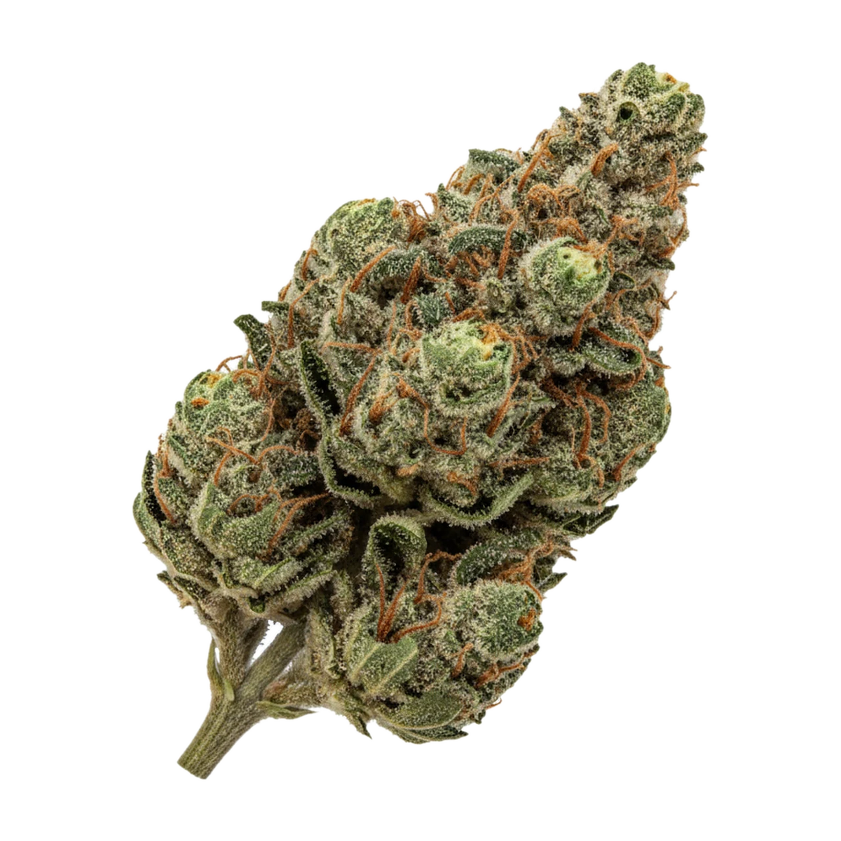 KI-generierte Illustration einer Cannabisblüte, zeigt nicht die tatsächliche Charge – 420 Compound 25/1 RGR "Rose Gold Runtz"