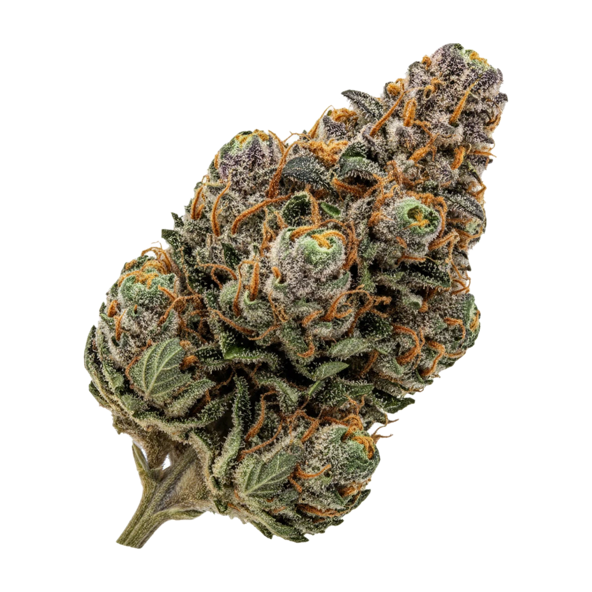 KI-generierte Illustration einer Cannabisblüte, zeigt nicht die tatsächliche Charge – 420 Compound 27/1 TGY "Tigerz Eye"