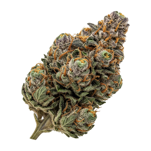 420 Compound 27/1 TGY "Tigerz Eye"