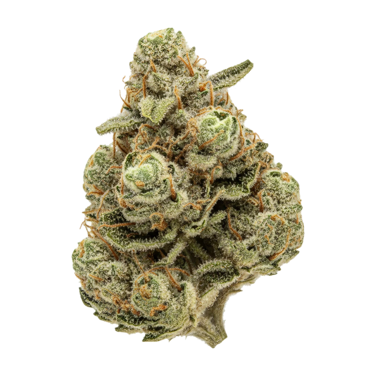 KI-generierte Illustration einer Cannabisblüte, zeigt nicht die tatsächliche Charge – 420 Compound 30/1 BBW "Bling Blaow"