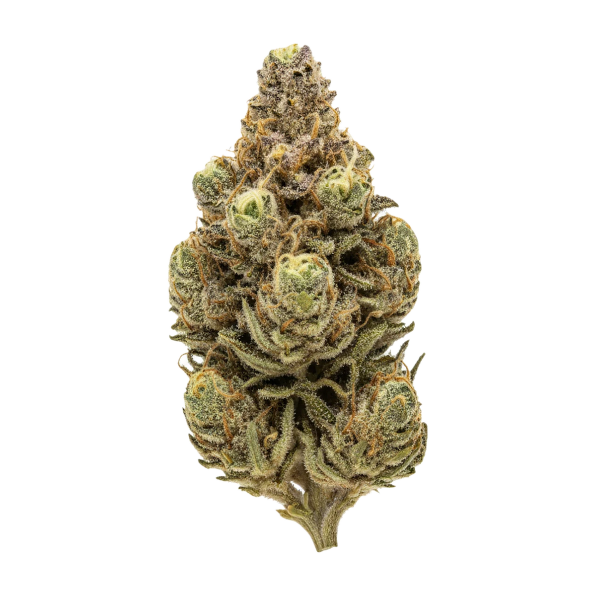 KI-generierte Illustration einer Cannabisblüte, zeigt nicht die tatsächliche Charge – 420 Compound 30/1 CA PPE "Platinum Pavé"